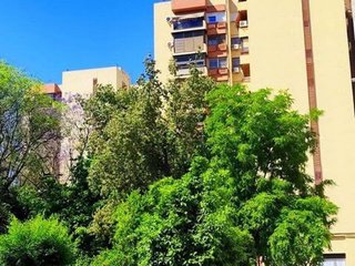 Piso en alquiler en Triana Oeste en Sevilla