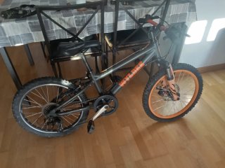 Bicicleta Wyldee Infantil