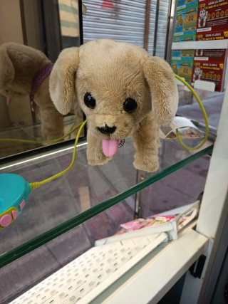 Perrito Baby Born Peluche