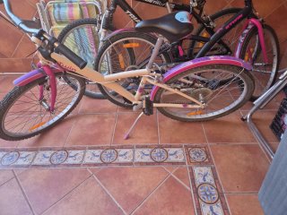Bicicleta