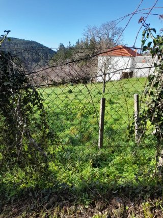VENDO CASA DE PIEDRA , CON FINCA