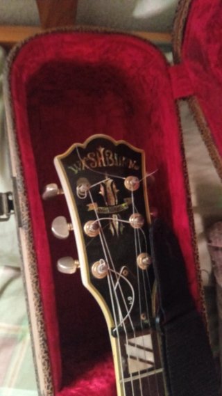 Guitarra Wasburg Semi Caja USA