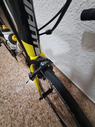 Bicicleta Giant TCR Talla M/L