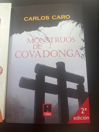 Lote libros
