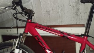 Bicicleta de montaña roja 26