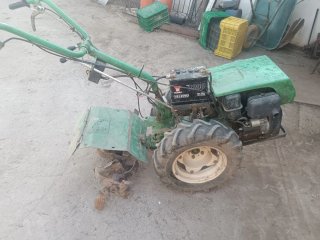 Motoazada verde