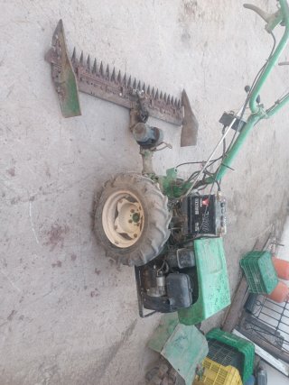 Motoazada verde