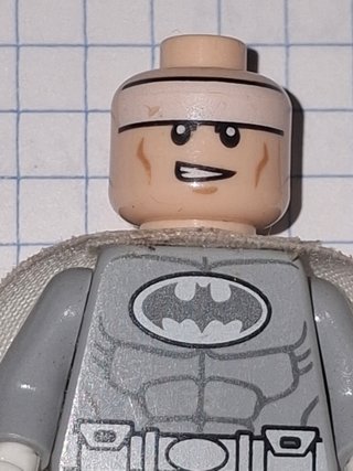 LEGO DC Super Heroes Artic Batman SH0047 (LEED)