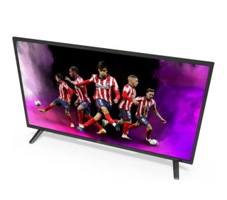 TD Systems TV 40' Full HD Smart TV