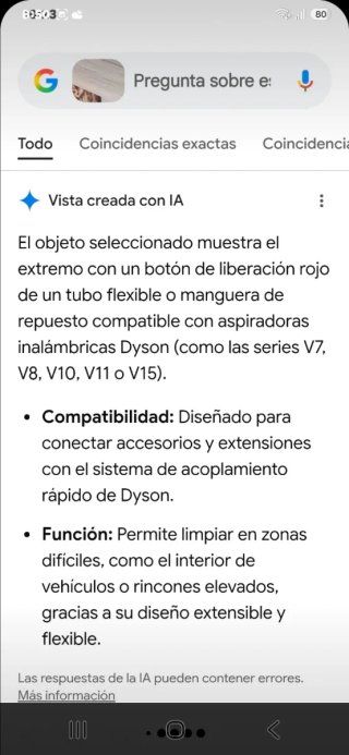 Manguera Dyson Extensible