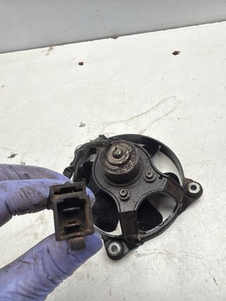 Electroventilador BMW F 650 (1998)