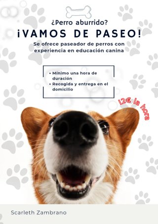 Paseadora de perros
