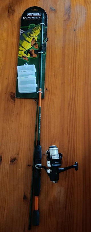 Combo Pesca Mitchell Target II Perch 180
