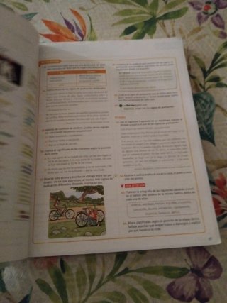 Lengua castellana y literatura. 4 ESO. Savia