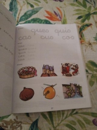 Libro ortografía