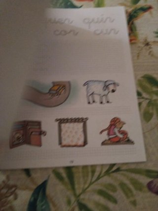 Libro ortografía