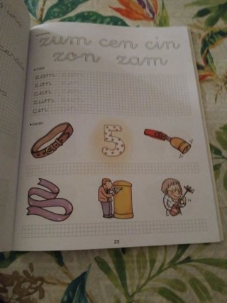 Libro ortografía