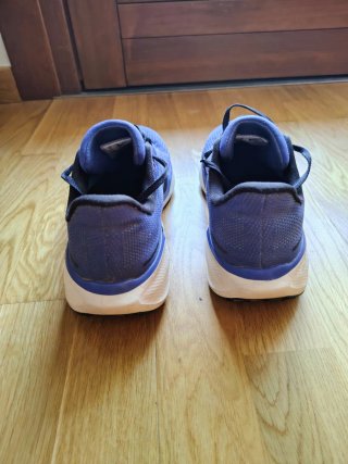 Zapatillas Nike Pegasus 44