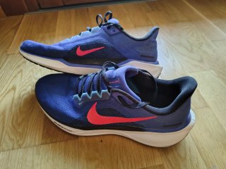 Zapatillas Nike Pegasus 44