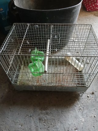 Jaula para pájaros plateado
