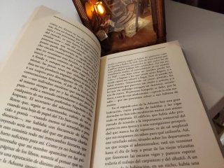 Libro escarlata