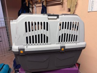 Cuccia da trasporto per cani