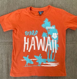 Lote 6 camisetas niño 3/4