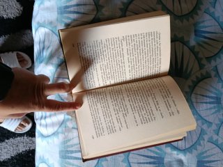 Libro EL GRAN ROBO DEL TREN