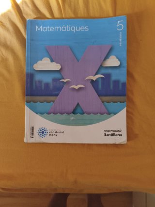 MATEMATIQUES 5 PRIMARIA CONSTRUINT MONS