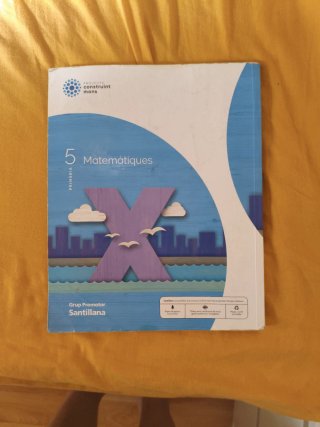 MATEMATIQUES 5 PRIMARIA CONSTRUINT MONS