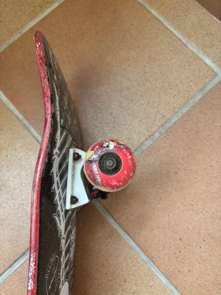 Skate Birdhouse Tony Hawk Completo