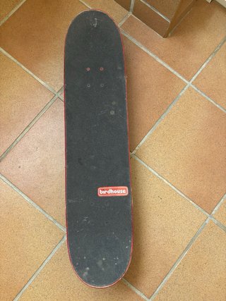 Skate Birdhouse Tony Hawk Completo