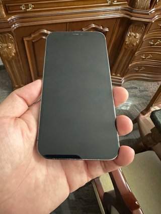 iPhone 12 Pro 256GB Gris Espacial