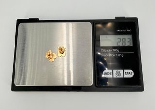 Pendientes Oso Tous Oro 18k 2.83g