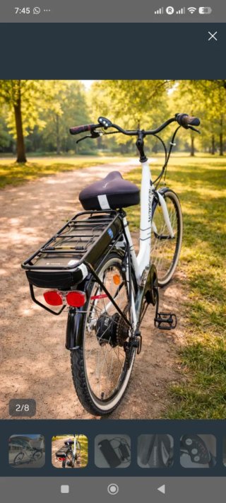 Bicicleta Eléctrica Wayscra