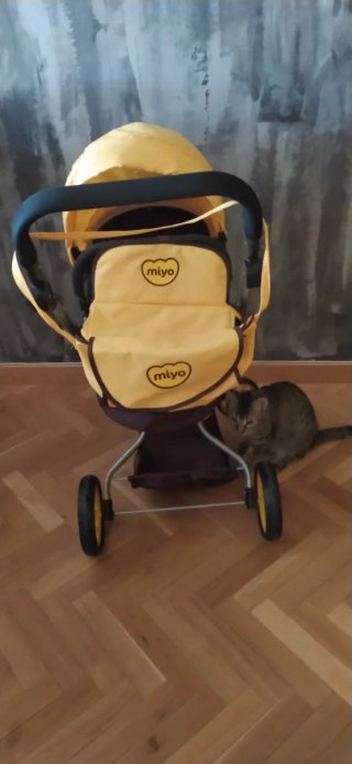 Silla de paseo para muñecas,30 por 30 cm