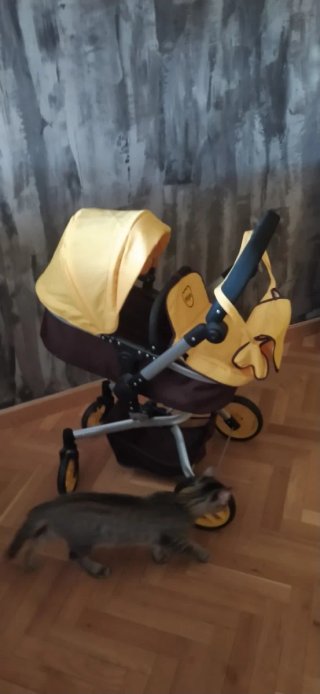 Silla de paseo para muñecas,30 por 30 cm
