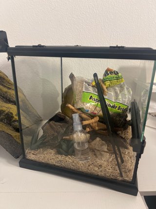 Terrario Exo Terra 30x30x30