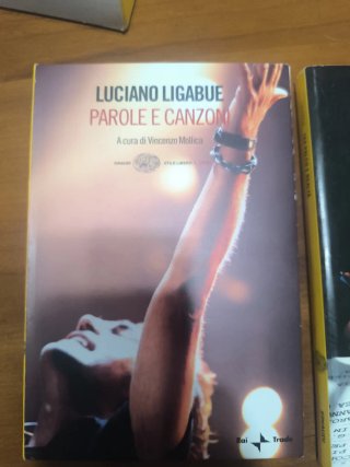 Ligabue DVD + Libro Parole & Canzoni
