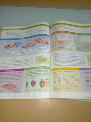 Libro Biologia, geologia eta ingurumen zientziak