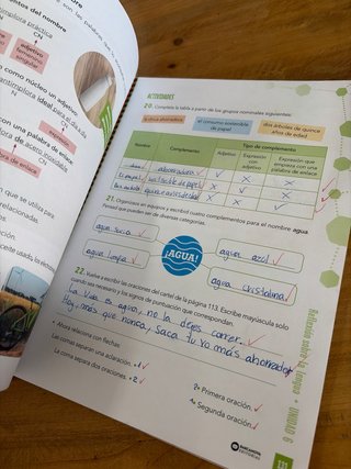 Lengua castellana, 4 Educación Primaria, Progra...