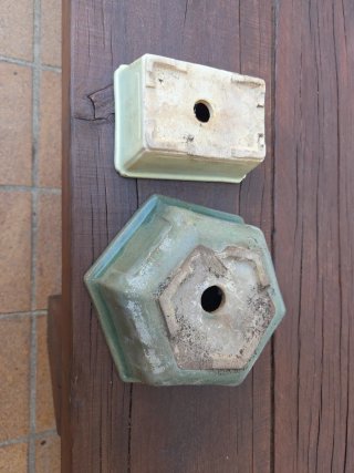 Macetas de cerámica para bonsái