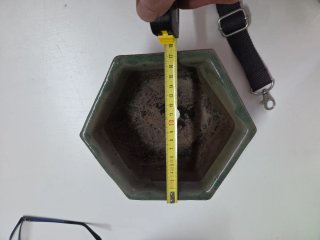 Macetas de cerámica para bonsái