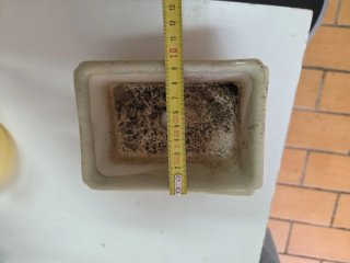 Macetas de cerámica para bonsái