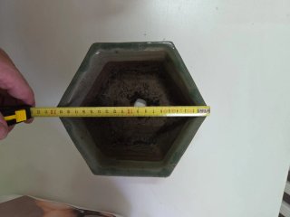 Macetas de cerámica para bonsái