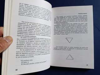 El tao de la música. Carlos Daniel Fregtman. 1988