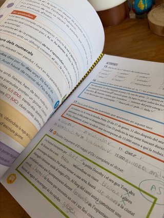 Llengua catalana, 4 Educació Primària, Programa...