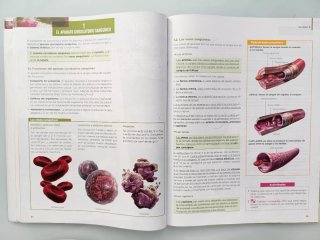 Anatomía aplicada, 1 Bachillerato