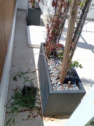 Mantenimientos de jardines y piscinas