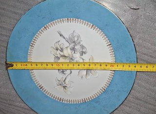 Plato llano 24cm MZ Moritz Zdekauer Czechoslovakia
